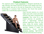 Stairmaster Jacobs Ladder (New)